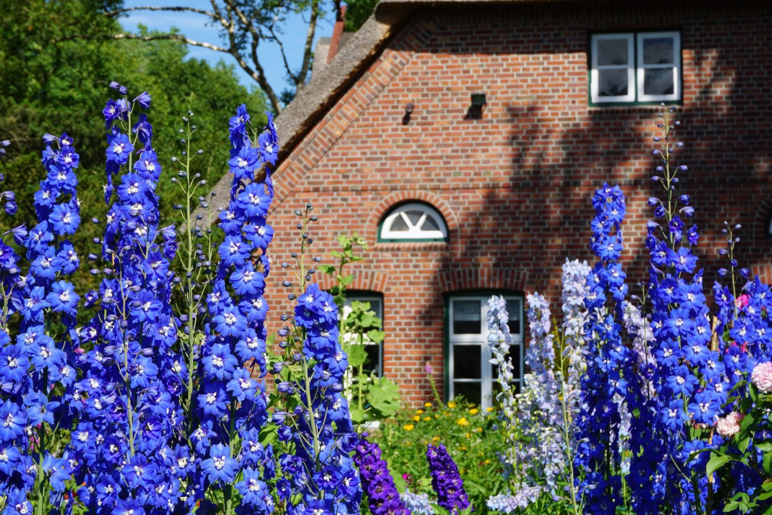 Unsere Themengärten Arboretum Ellerhoop der schönste Garten im Norden