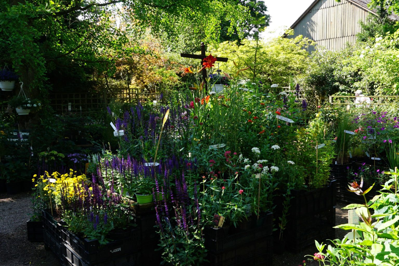 Besucherinfos Arboretum Ellerhoop der schönste Garten im Norden