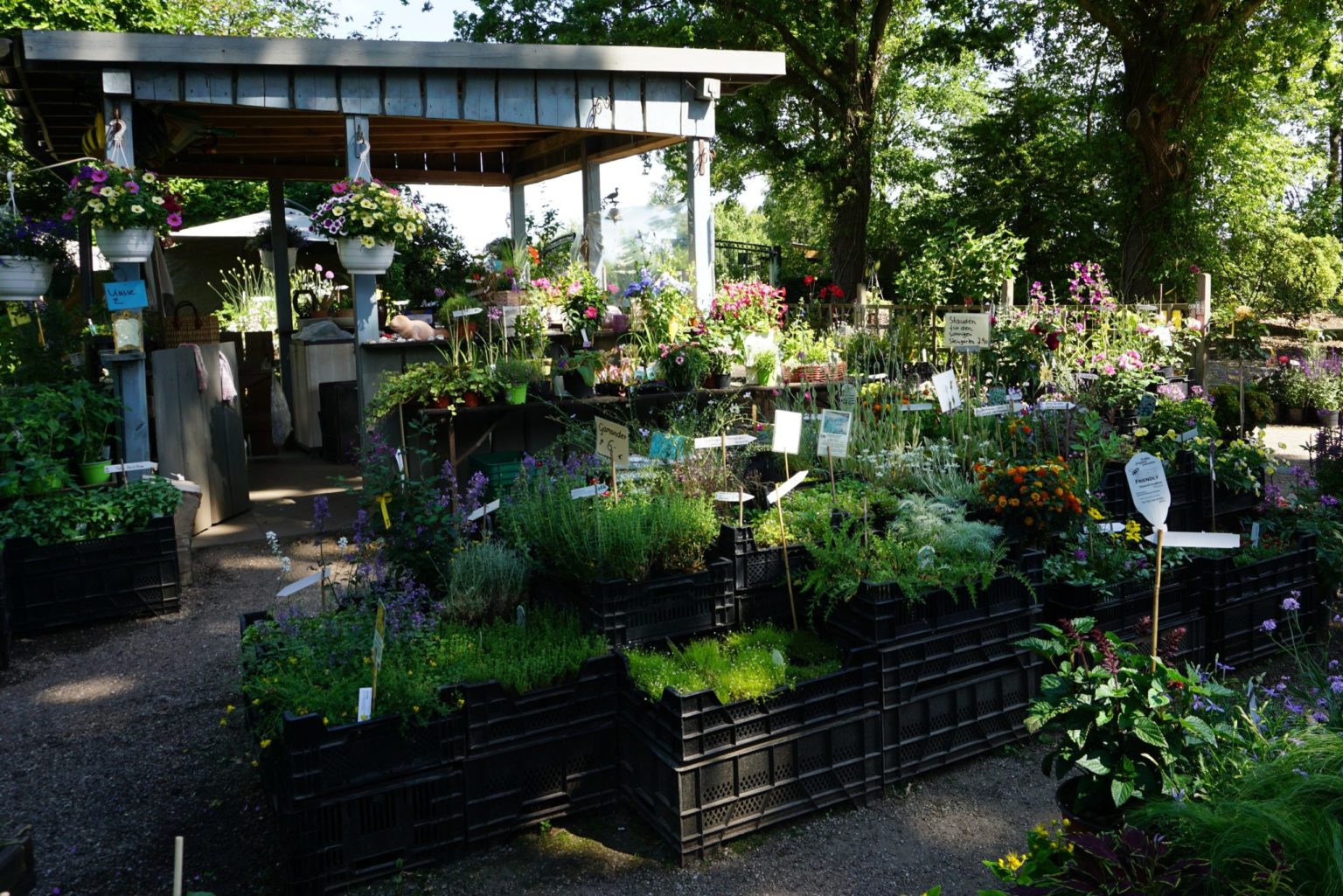 Besucherinfos Arboretum Ellerhoop der schönste Garten im Norden