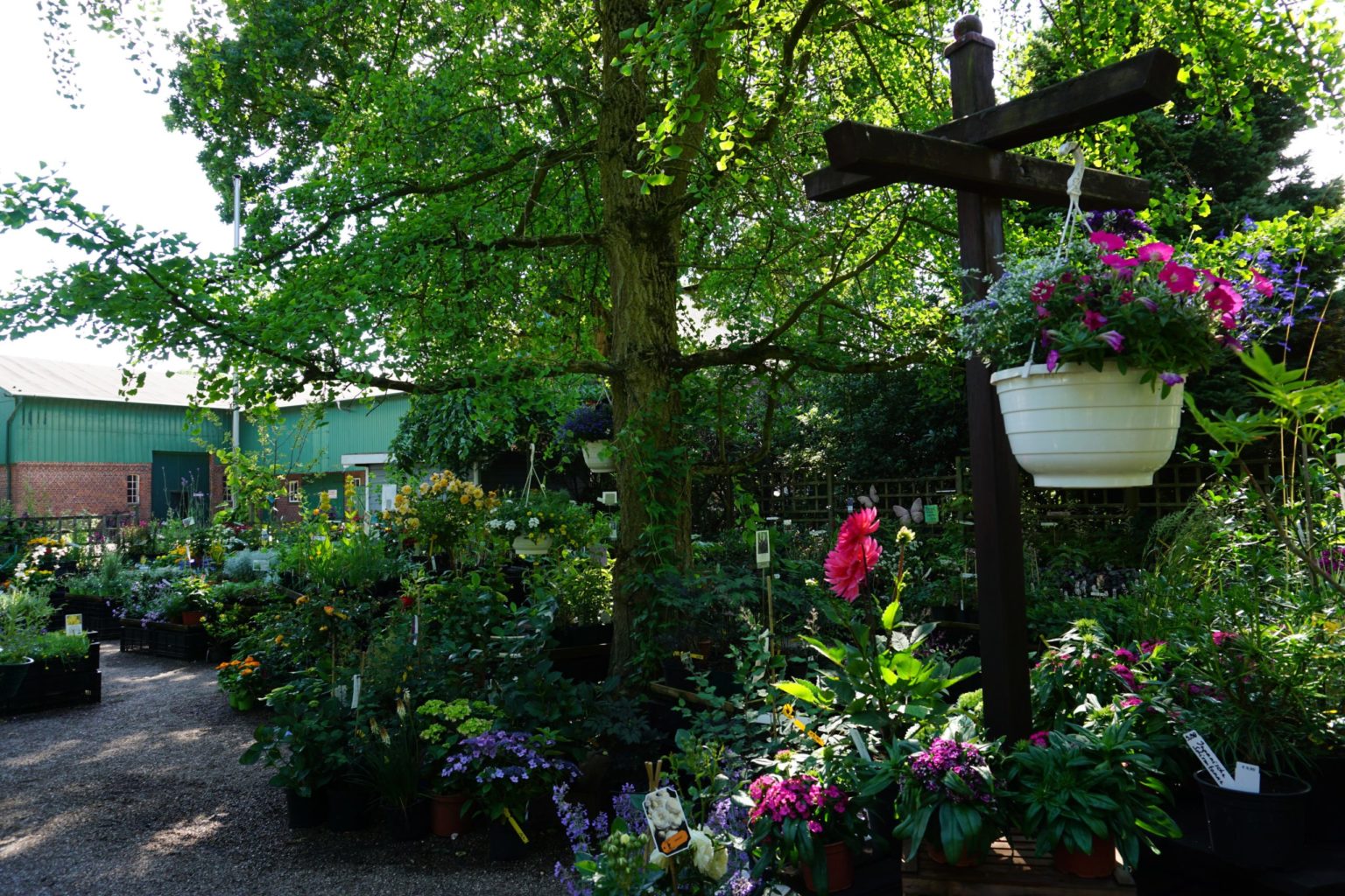 36+ Der Schönste Garten Im Norden, Der norden hat drei trockene