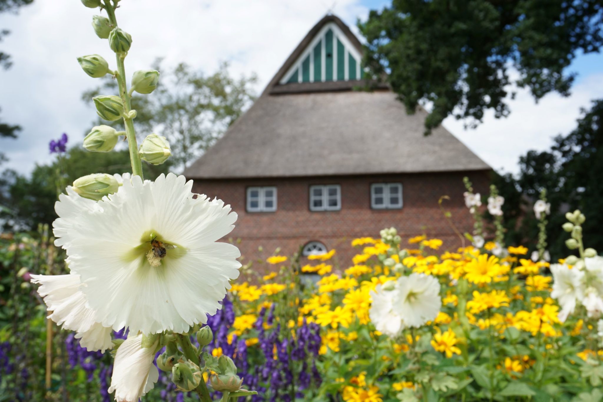 Unsere Themengärten Arboretum Ellerhoop der schönste Garten im Norden