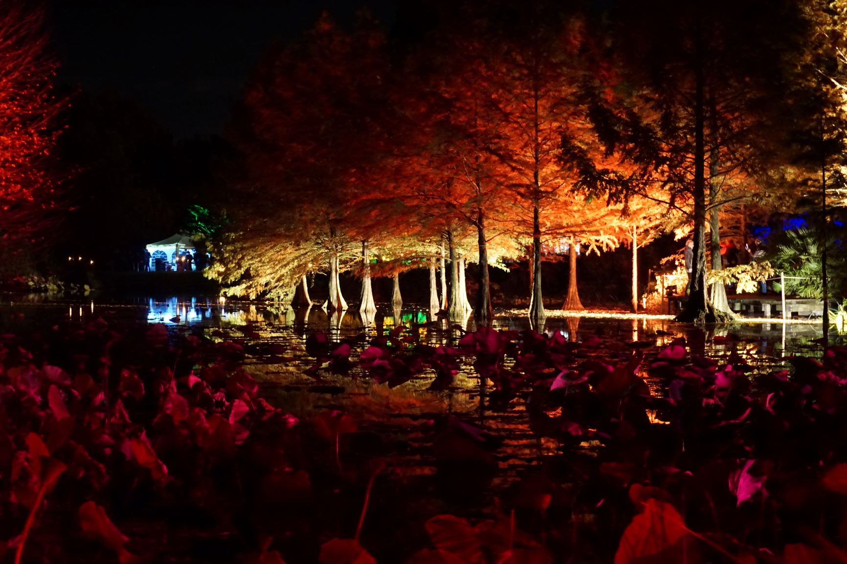 Herbstfest_2019