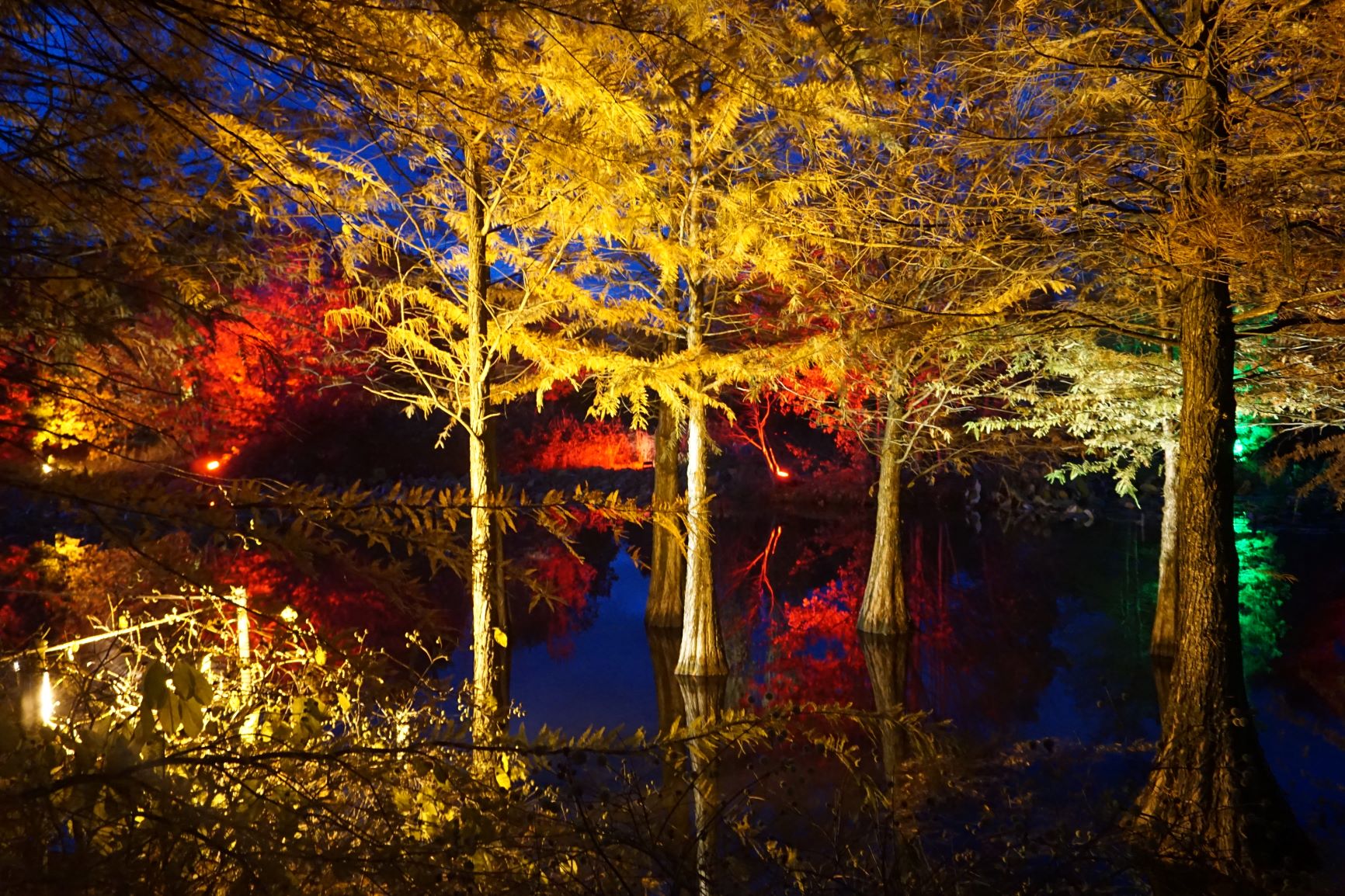 Herbstfest_2019_2