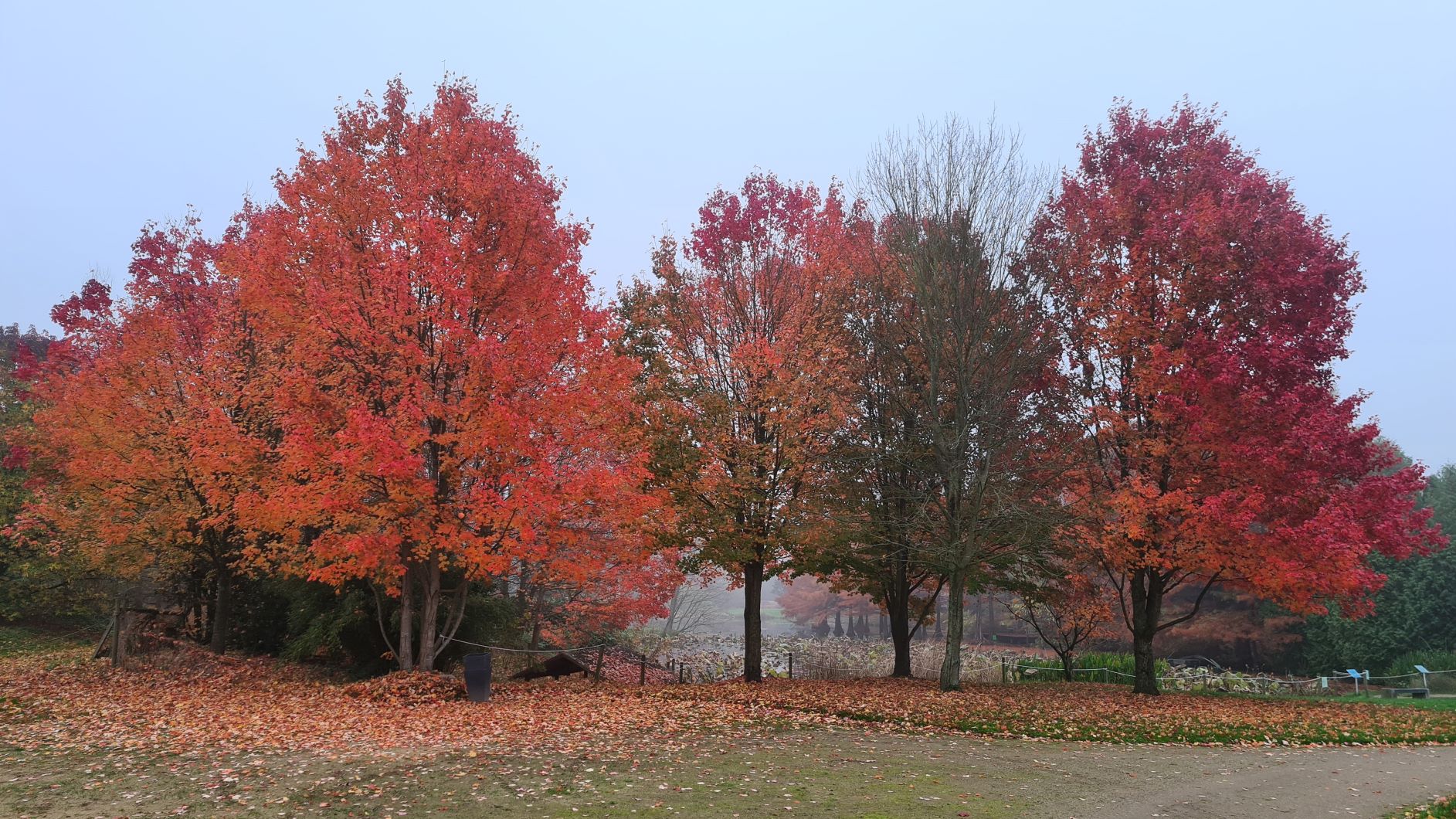 Indian Summer November