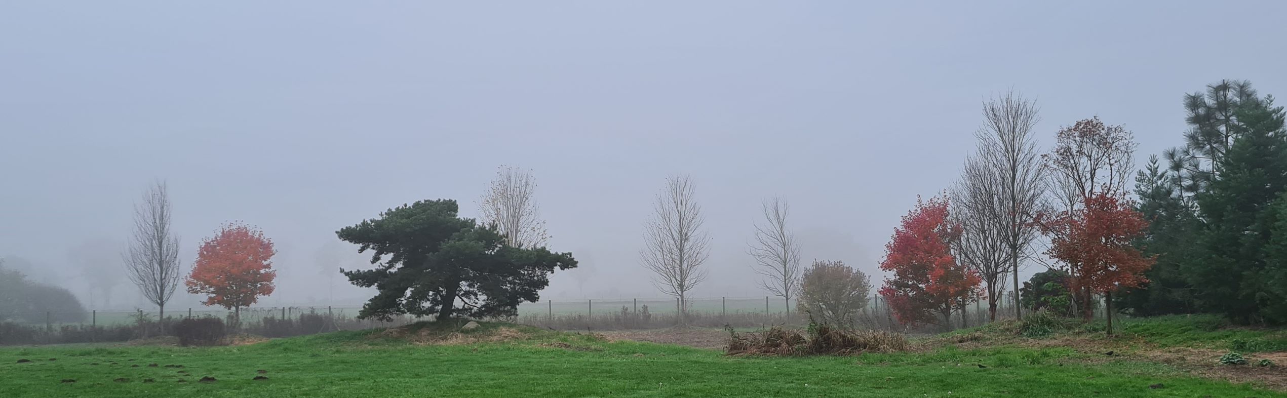 November-Nebel