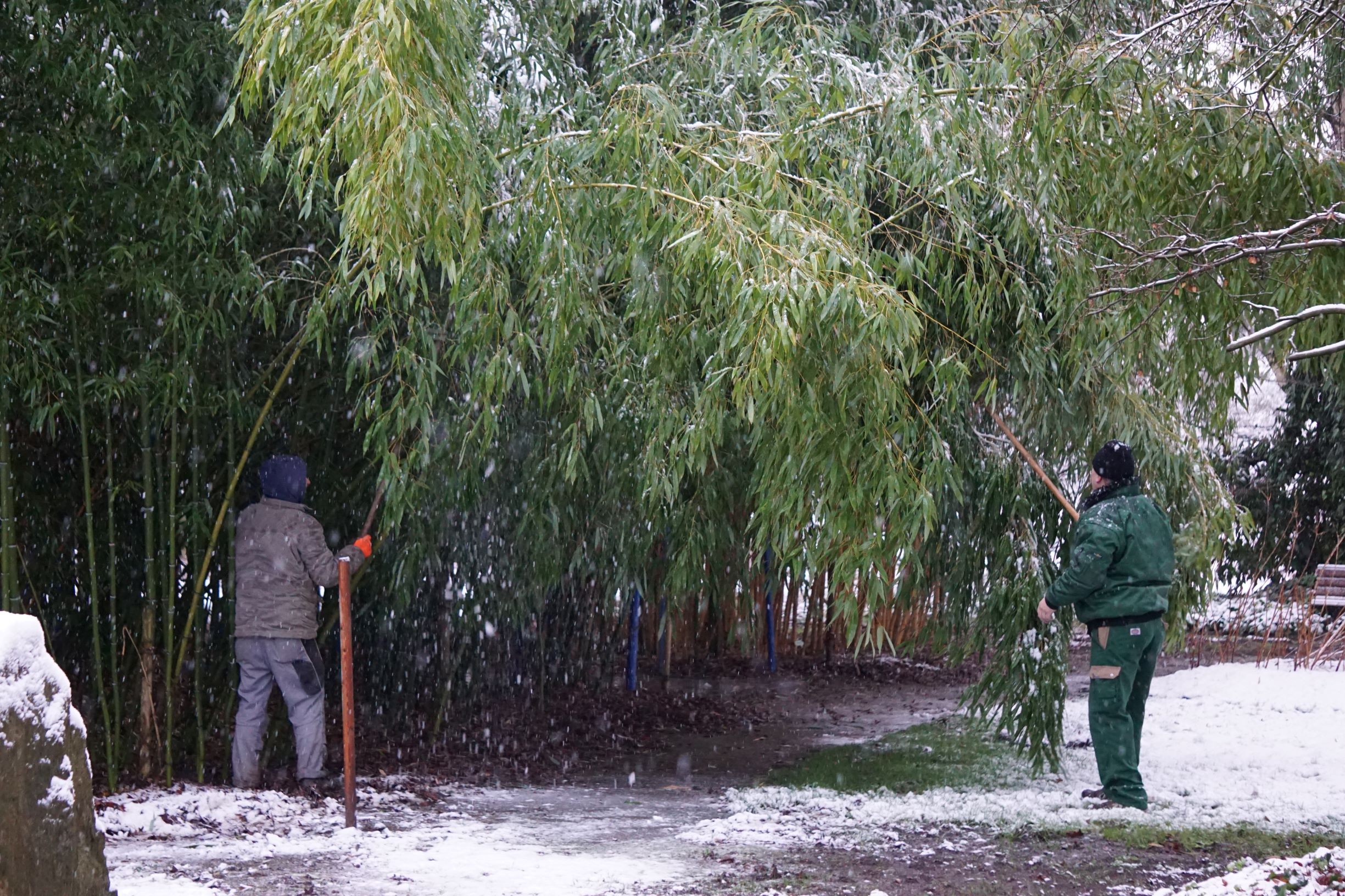 Befreiung_vom_Schnee