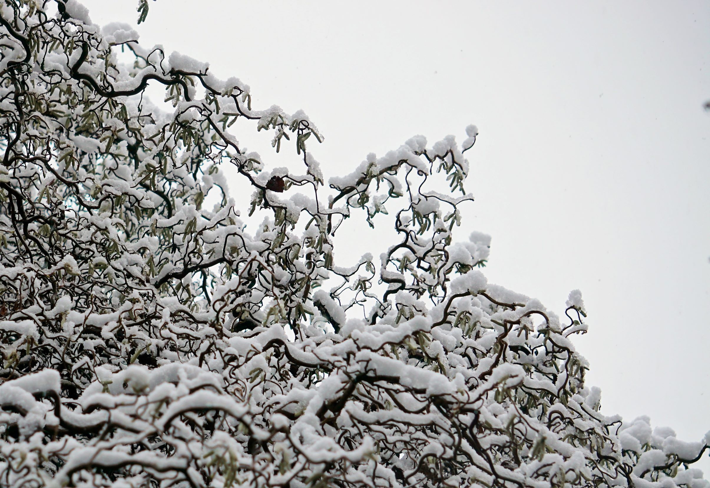 Schneestruktur