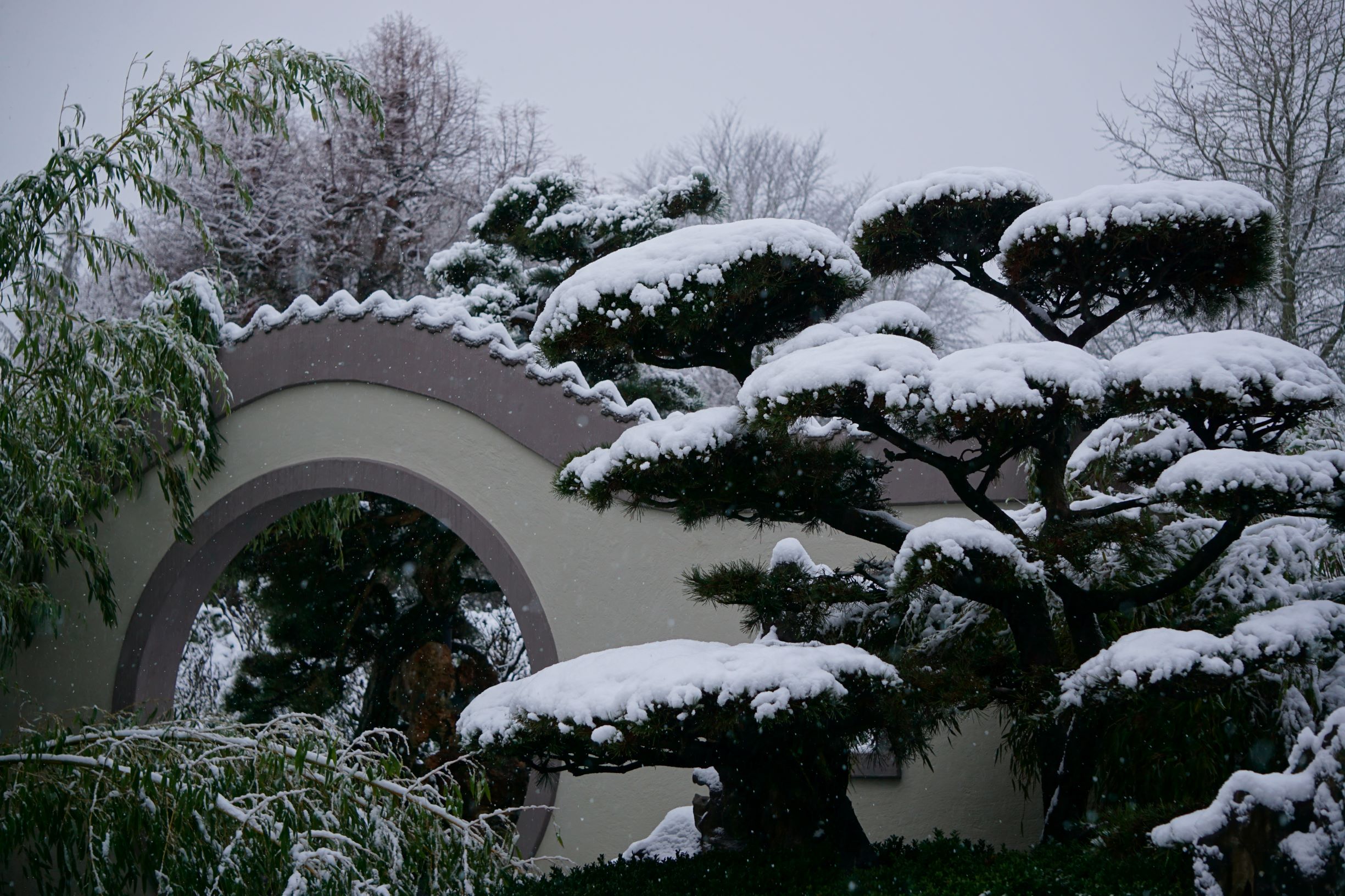 Winterwelt