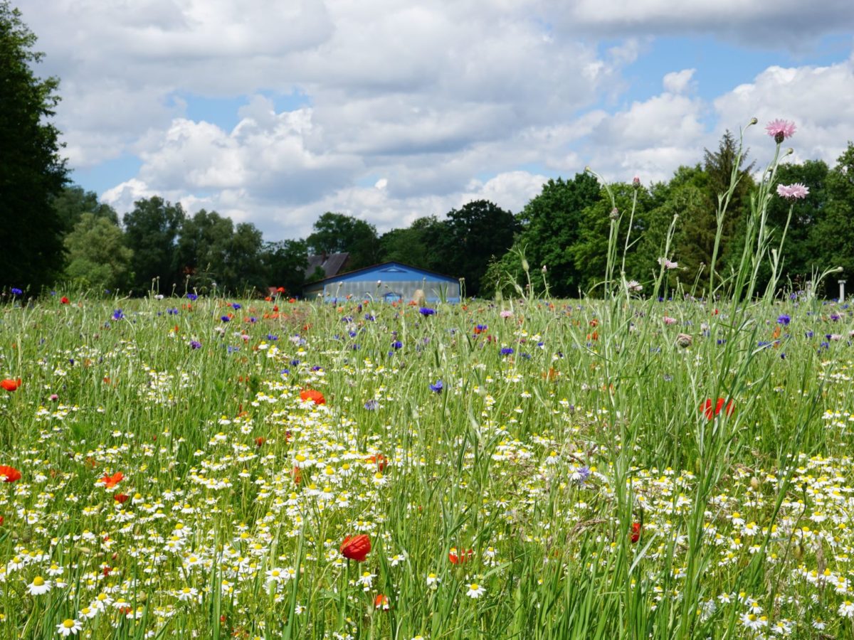 Unsere Themengärten Arboretum Ellerhoop der schönste Garten im Norden