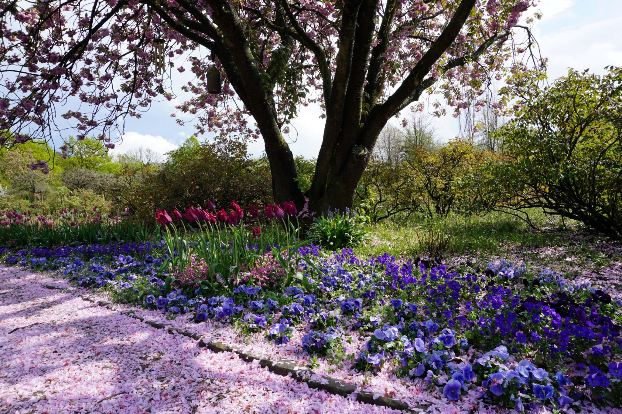 Besucherinfos Arboretum Ellerhoop der schönste Garten im Norden