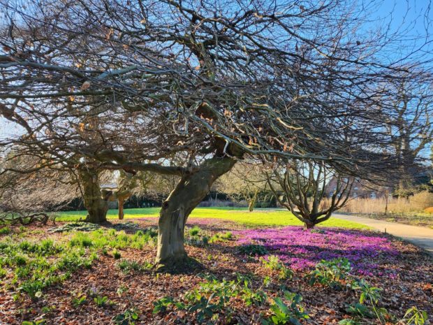 März 2026 März 2026