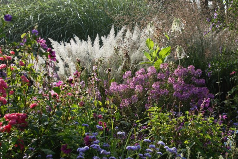 Arboretum Ellerhoop der schönste Garten im Norden