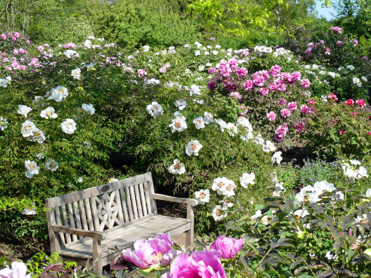 Arboretum Ellerhoop der schönste Garten im Norden