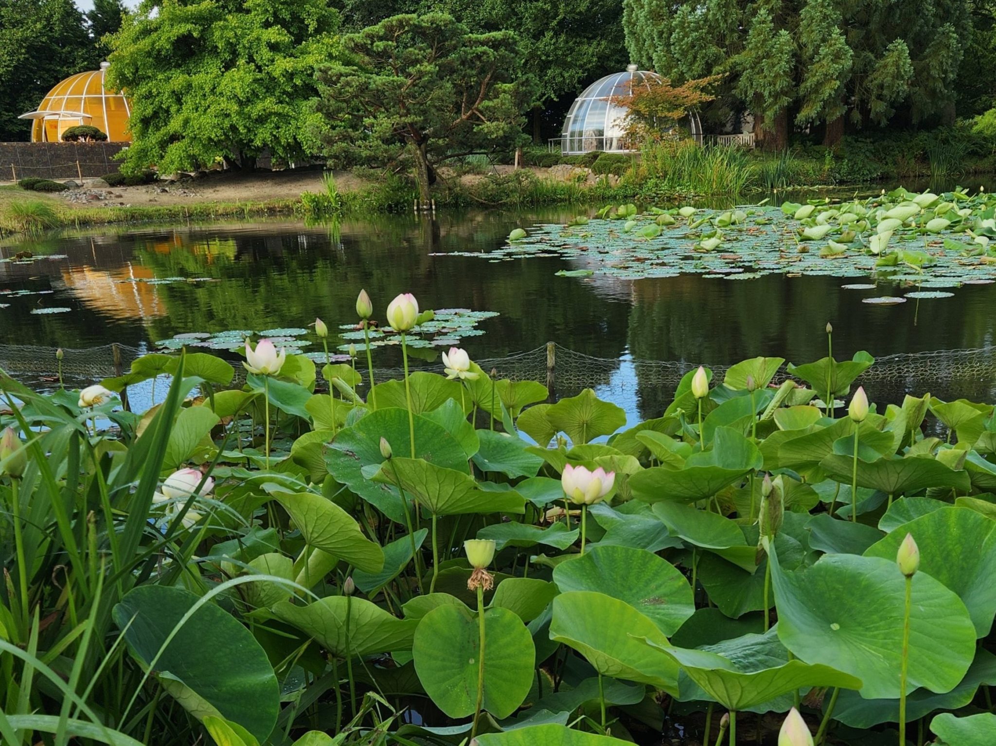 Arboretum Ellerhoop der schönste Garten im Norden