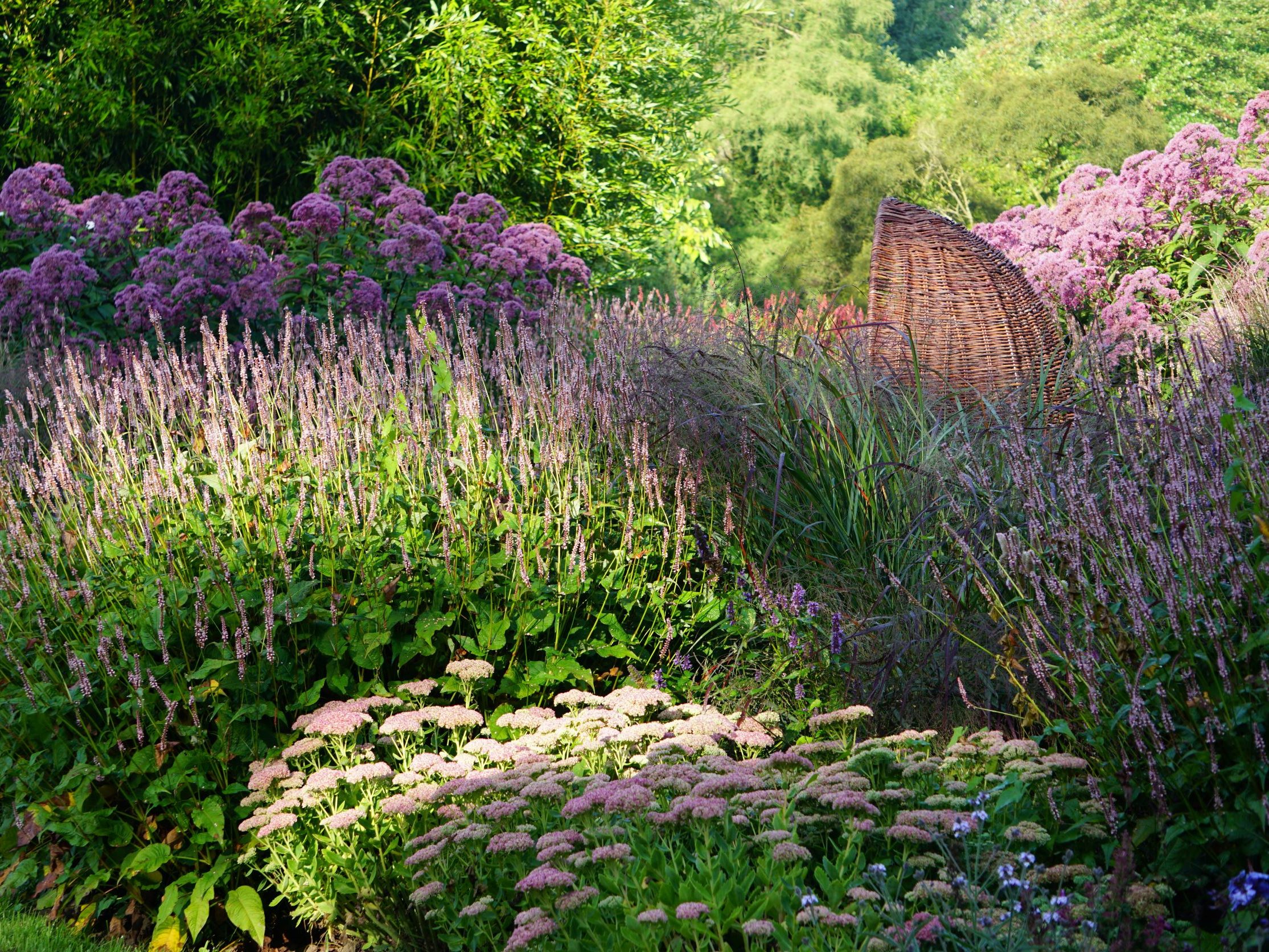 September 2024 Arboretum Ellerhoop der schönste Garten im Norden